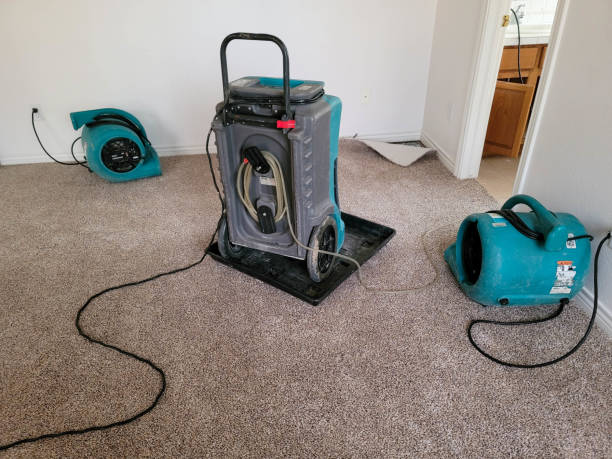 Professional Water damage restoration in Galliano, LA