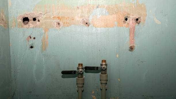 Best Carpet water damage restoration  in Galliano, LA