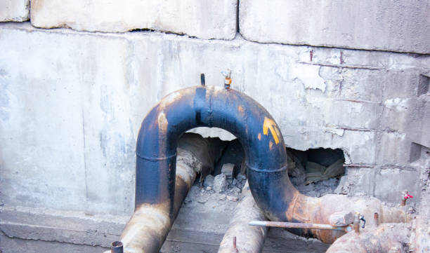 Best Professional water damage repair  in Galliano, LA