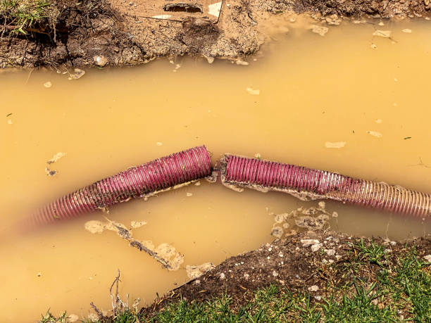 Best Flood damage cleanup  in Galliano, LA