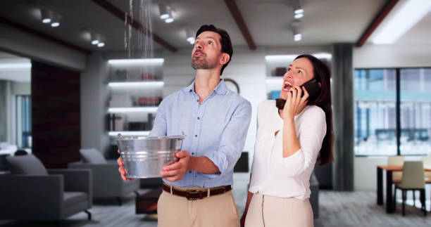 Best Ceiling water damage repair  in Galliano, LA