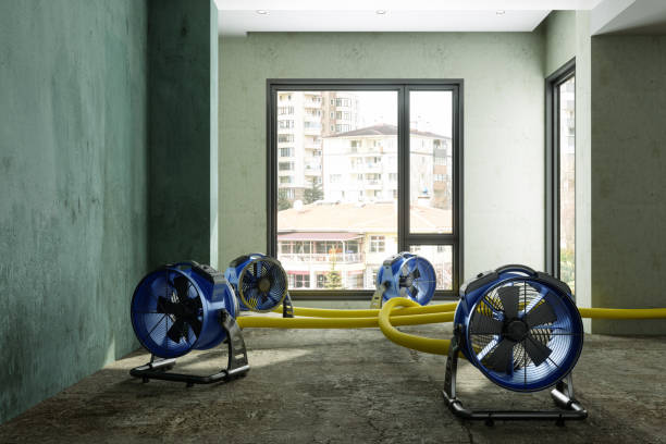 Best 24-hour water damage restoration  in Galliano, LA